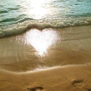 Meet your Posher, Roseann